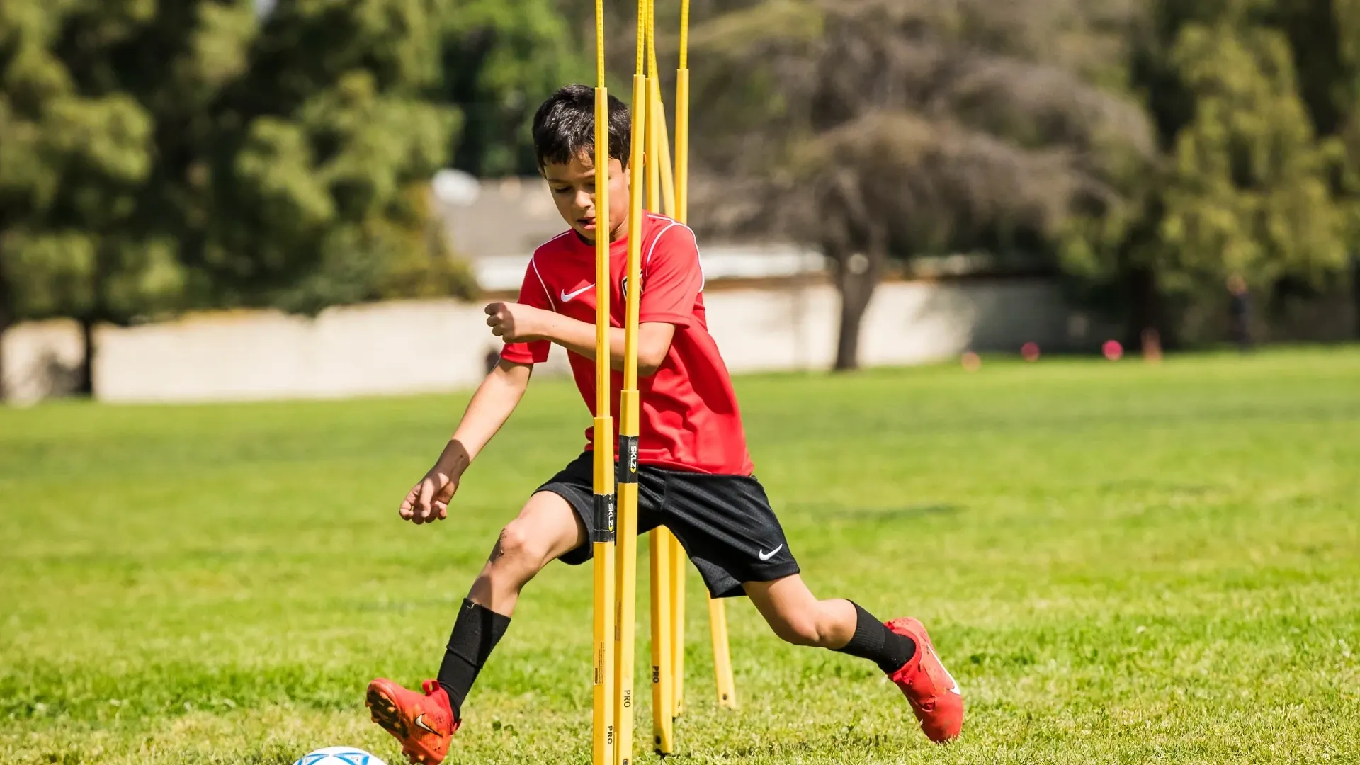 Private Coaching